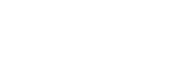 Blog Gridv S